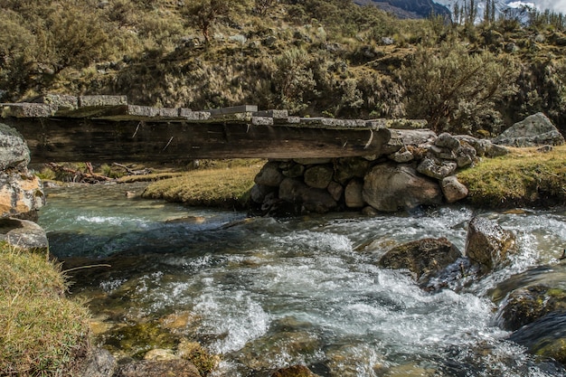 Bella ripresa di un fiume sotto un ponte in mezzo a una foresta