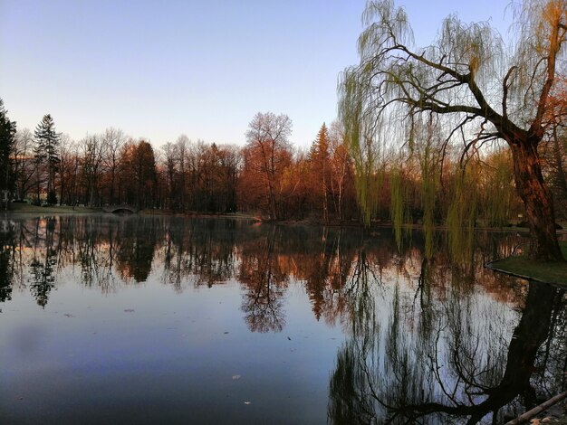 Bella ripresa di un lago nel mezzo di una foresta a Jelenia Góra, Polonia.