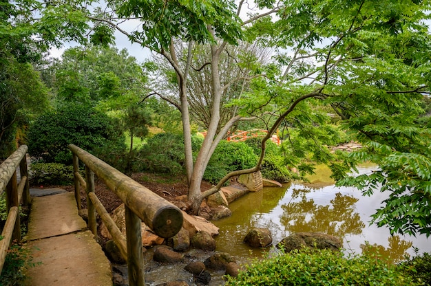 Bella ripresa di un parco pubblico a toowoomba, queensland in australia