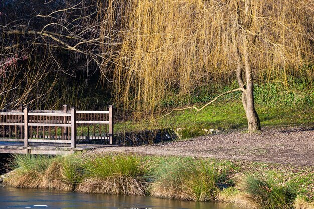 Bella ripresa di un piccolo ponte su un lago nel parco Maksimir a Zagabria, in Croazia durante il giorno