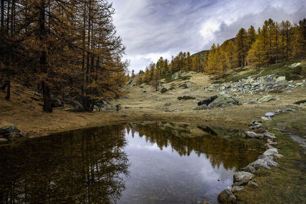 Bella ripresa di un piccolo stagno nella valle piena di alberi gialli