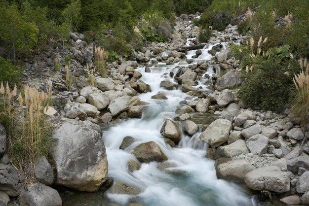 Bella ripresa di un ruscello d'acqua attraverso le rocce e gli alberi della foresta