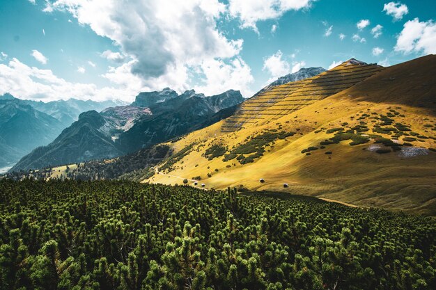 Bella ripresa di una collina gialla e cielo nuvoloso