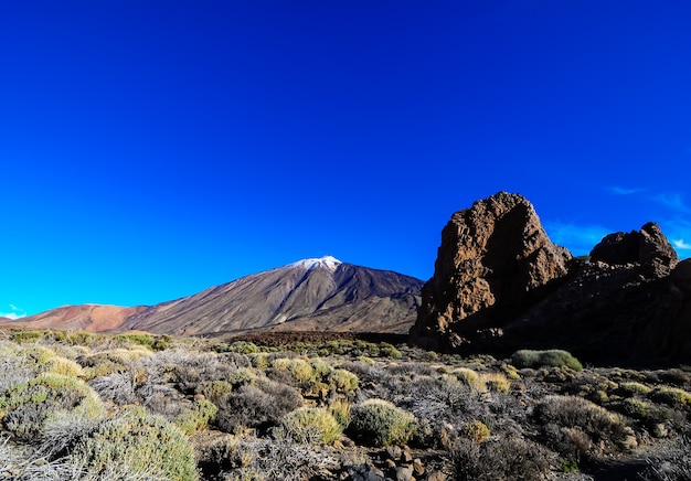 Bella ripresa di una montagna, grandi rocce e piante verdi in un cielo blu chiaro