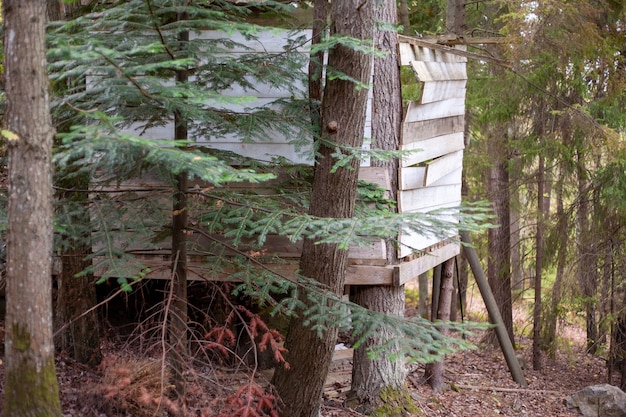 Bella ripresa di una piccola casa in legno all'interno di una foresta