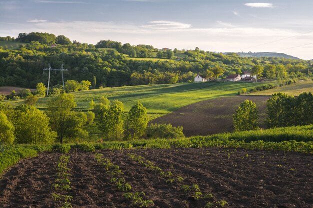 Bella ripresa orizzontale di un campo verde con cespugli, alberi e piccole case in campagna