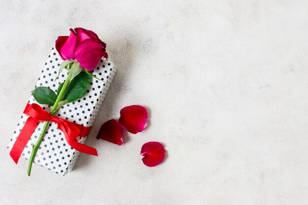 Bella rosa del primo piano sopra il presente