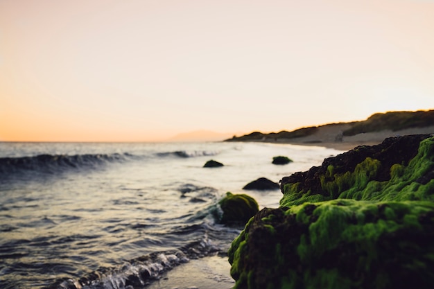 Bella scena di spiaggia al tramonto