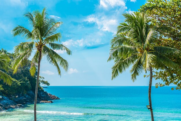 Bella spiaggia tropicale mare oceano con cocco e altro albero intorno nuvola bianca sul cielo blu
