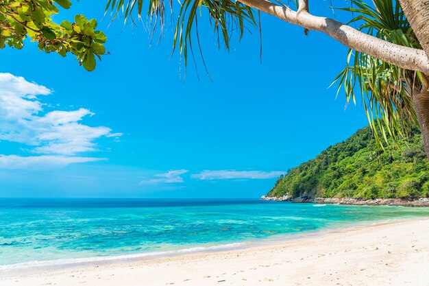 Bella spiaggia tropicale mare oceano con cocco e altro albero intorno nuvola bianca sul cielo blu