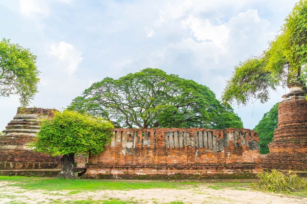 Bella vecchia architettura storica di Ayutthaya in Thailandia