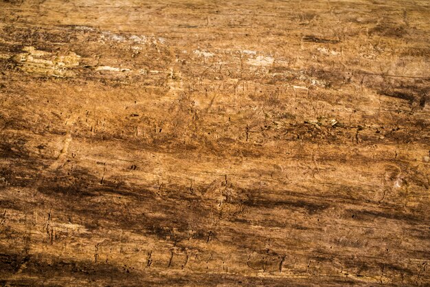 bella vecchia struttura di legno naturale, primo piano