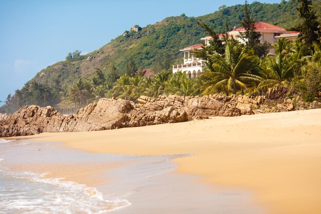 Bella villa per vacanze con palme intorno alla spiaggia