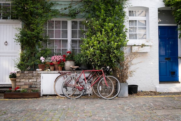 Bella vista con le biciclette