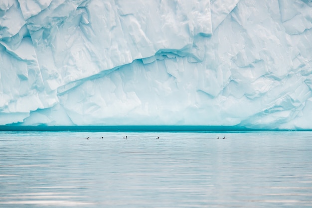 Bella vista del massiccio iceberg nella baia di Disko, Groenlandia
