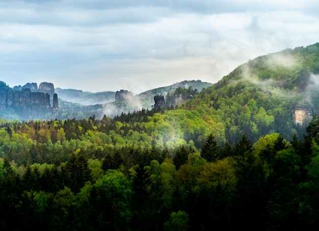 Bella vista del paesaggio della Svizzera boema in Repubblica Ceca con alberi