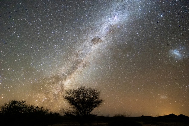 Bella vista del paesaggio di notte della Via Lattea e del centro galattico sopra il parco nazionale di Etosha che si accampa, Namibia
