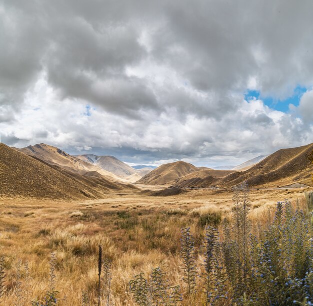 Bella vista del passo di Lindis nell'Isola del Sud, Nuova Zelanda