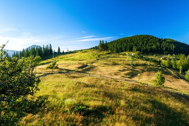 Bella vista del villaggio in montagne carpatiche ucraine.