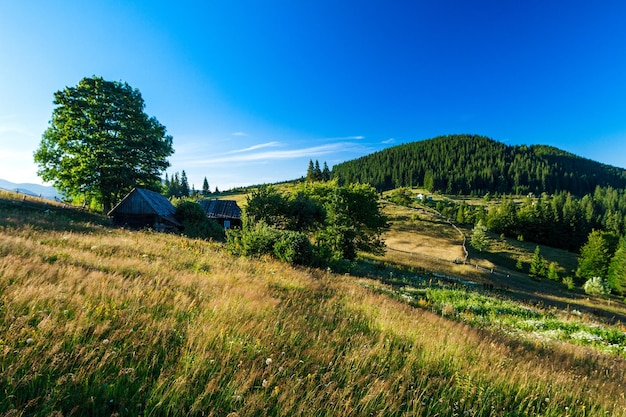 Bella vista del villaggio nelle montagne dei Carpazi ucraini