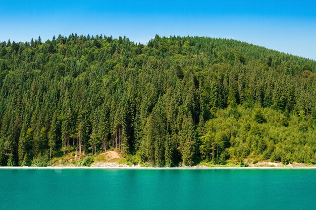 Bella vista della barca in lago, foresta e montagne