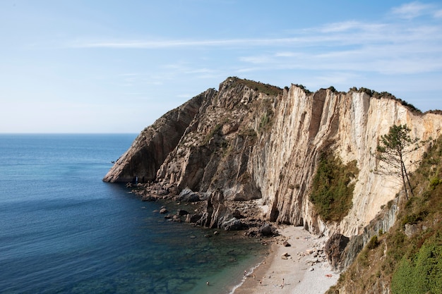 Bella vista della spiaggia con un cielo limpido