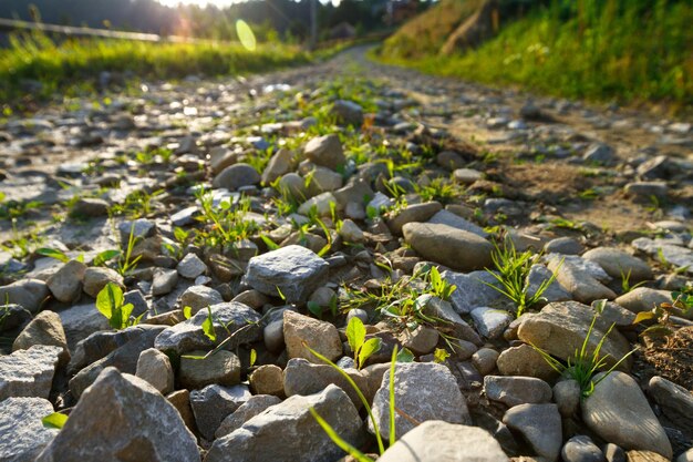 Bella vista della strada di campagna Focus sulle rocce