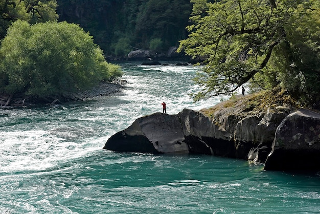 Bella vista delle persone vicino alla riva di un fiume circondato da alberi