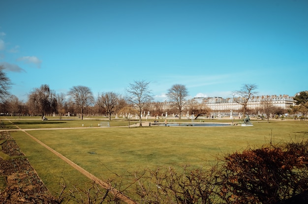 Bella vista di un giardino verde sotto il cielo blu chiaro catturato a Parigi, Francia