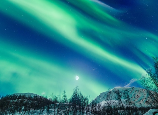 Bella vista di un paesaggio invernale notturno con l'aurora boreale e la luna, Tromso