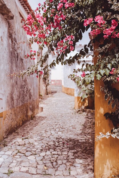 bella vista di un sentiero di pietra in un villaggio