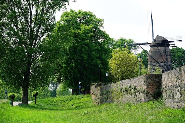 Bella vista di un vecchio mulino a vento circondato dall'erba e dagli alberi in un parco