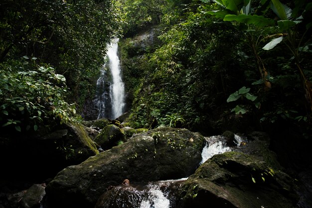 Bella vista di una cascata