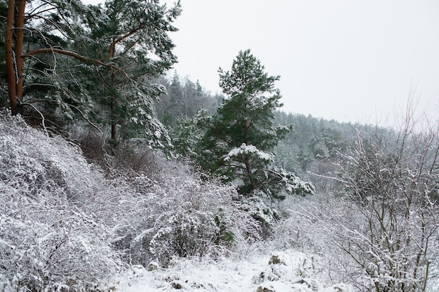 Bella vista inverno