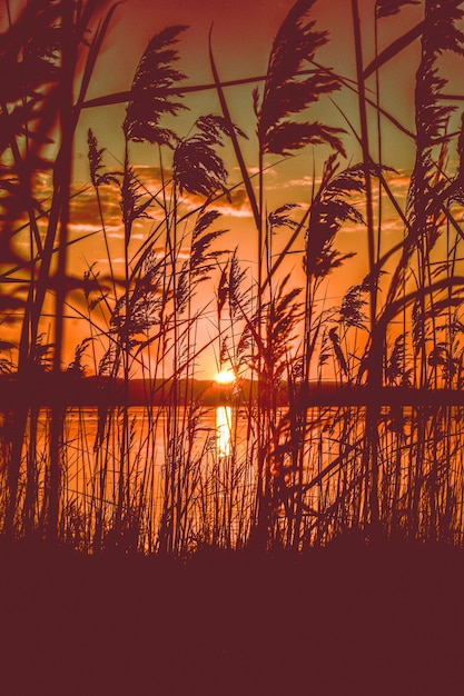 Bella vista panoramica del tramonto rosso su un lago