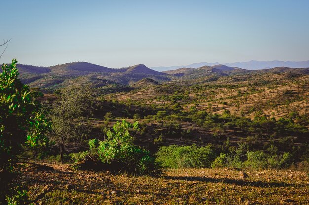 Bella vista su un campo con piccole montagne e alberi bassi