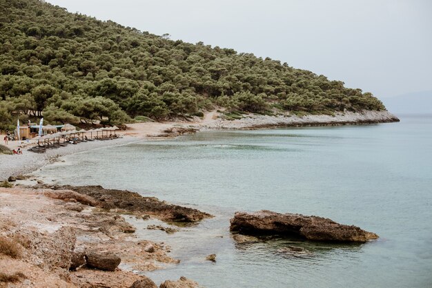 Bella vista su un pendio ricoperto di verde e una spiaggia tropicale