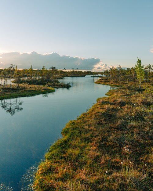 Bella vista sul fiume e sulla natura verde sotto l'alba di ar di cielo blu