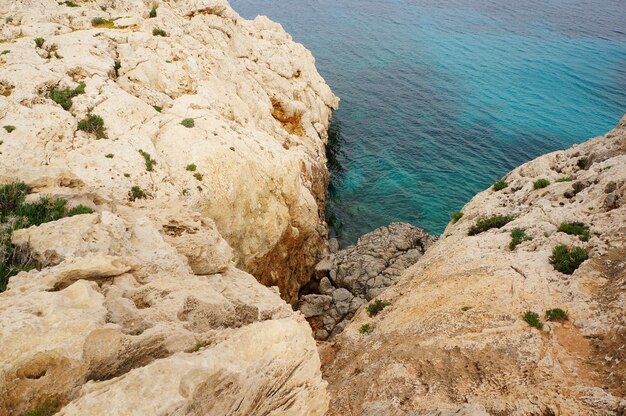 Bella vista sulla scogliera vicino alla riva di un oceano calmo in una giornata di sole