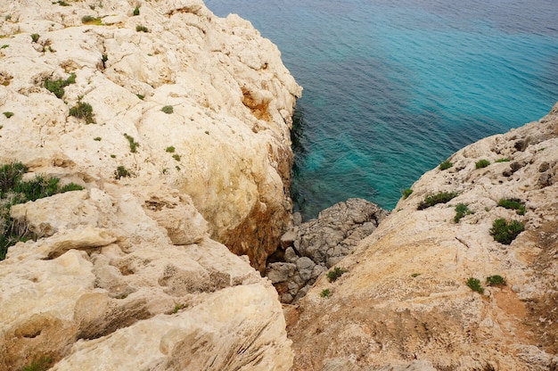 Bella vista sulla scogliera vicino alla riva di un oceano calmo in una giornata di sole