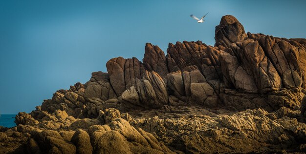 Bella vista sulle magnifiche scogliere rocciose sul mare e su un uccello marino che vola