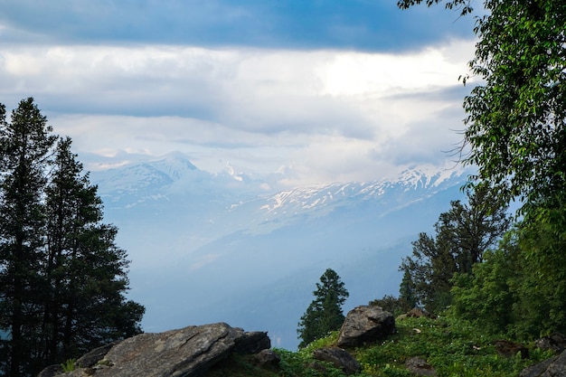 Bella vista sulle montagne con alberi in primo piano