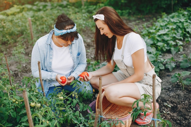 Belle donne lavora in un giardino