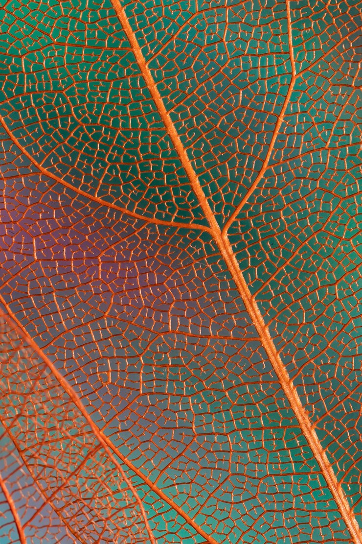 Foto gratuito belle foglie di autunno astratte con le vene arancio