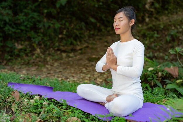 Belle ragazze stanno giocando yoga al parco