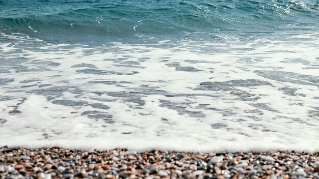 Belle risorse marine naturali