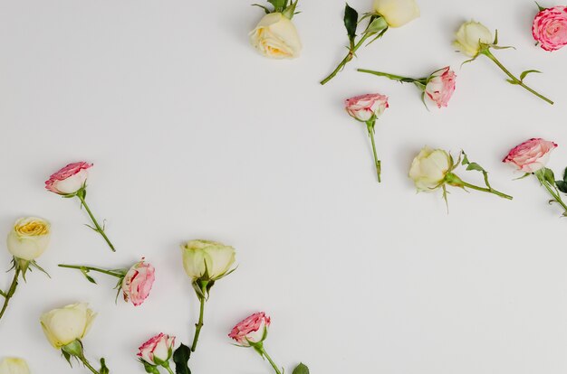 Belle rose romantiche con spazio di copia