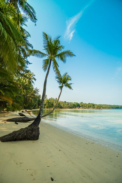 Bellissima isola paradisiaca con spiaggia e mare