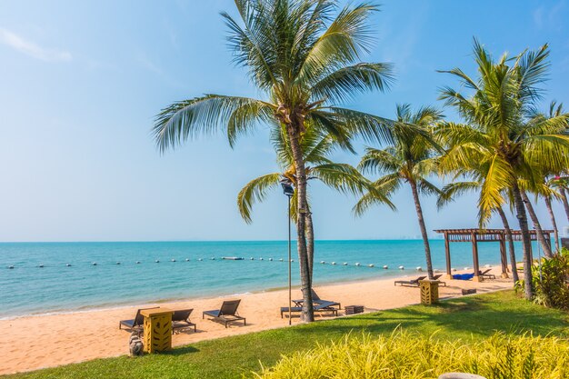 Bellissima spiaggia e mare con palme