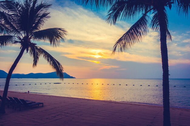 Bellissima spiaggia e mare con palme